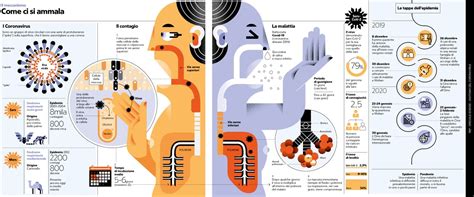 Infografica che illustra le diverse tipologie di cioccolato e le loro caratteristiche principali