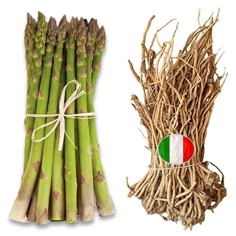 varietà di asparagi