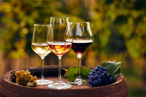 immagine di un calice di vino bianco che accompagna un piatto di riso