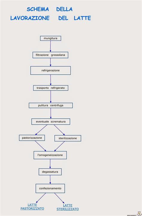 Schema della lavorazione della scamorza