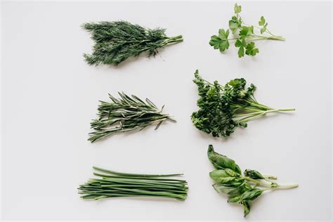 Composizione di erbe aromatiche fresche come rosmarino e spezie come pepe nero