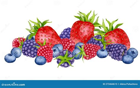 Illustrazione di vari frutti di bosco comuni come fragole, lamponi, mirtilli e more