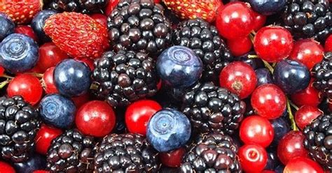 illustrazione dei diversi tipi di frutti di bosco utilizzati nella colomba Fiasconaro