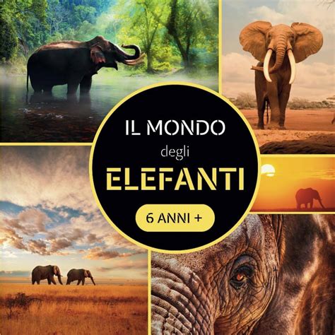 Copertina del libro 