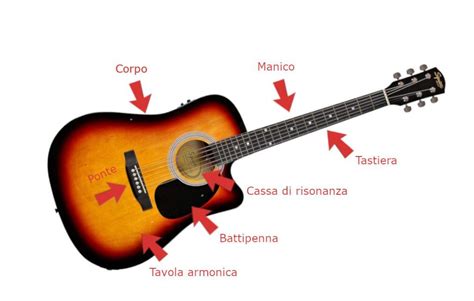 Schema di una chitarra acustica con evidenziate le zone più comuni dove possono comparire crepe: tavola armonica, fasce, retro della paletta.
