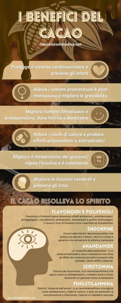 Infografica sui benefici del cacao in polvere per la salute
