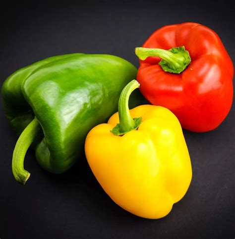 Varietà di peperoni colorati pronti per la conservazione