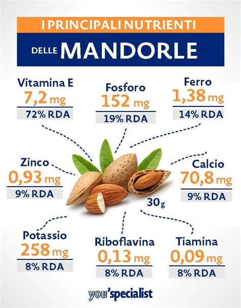 Infografica che illustra i principali nutrienti e benefici della crema di mandorle