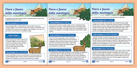 Infografica sulla coltivazione della patata in montagna