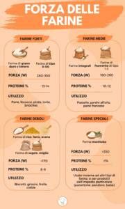 Infografica sui diversi tipi di farine e il loro contenuto proteico.