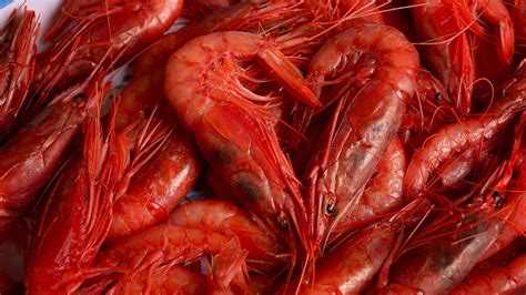 Infografica con le diverse tecniche di pulizia del gambero rosso