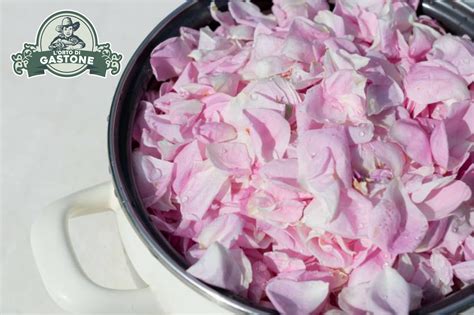 Fotografia di petali di rosa freschi disposti artisticamente su un piatto da portata