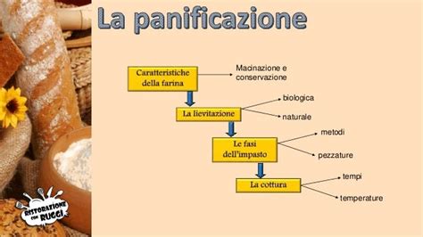 Schema con le diverse fasi di preparazione della focaccia, dall'impasto alla cottura.