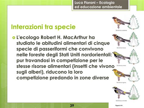 Illustrazione di un ecosistema con evidenziate le interazioni tra specie (es. api e alberi)