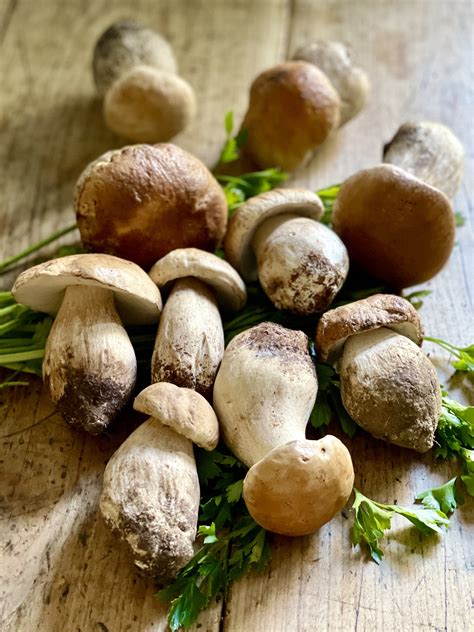 Immagine di funghi porcini che cuociono in padella con aglio e prezzemolo