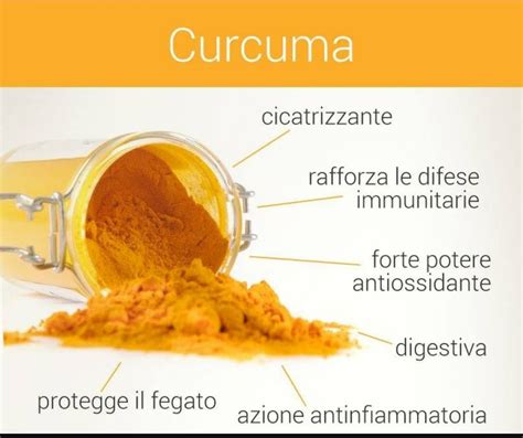 Infografica che riassume i principali benefici della curcumina: antinfiammatorio, antiossidante, neuroprotettivo, immunomodulante, antitumorale, antidepressivo.