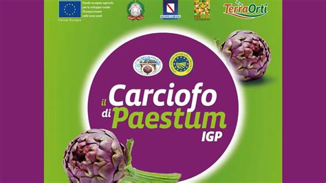 Mappa della zona di produzione del Carciofo di Paestum IGP