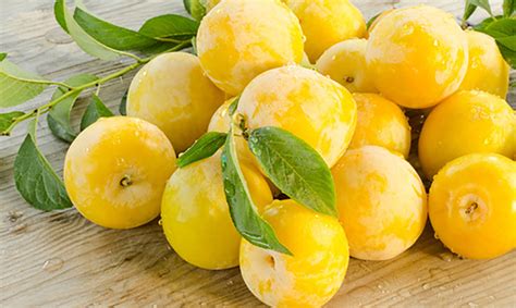 Una selezione di susine gialle mature e succose, pronte per essere trasformate in marmellata.