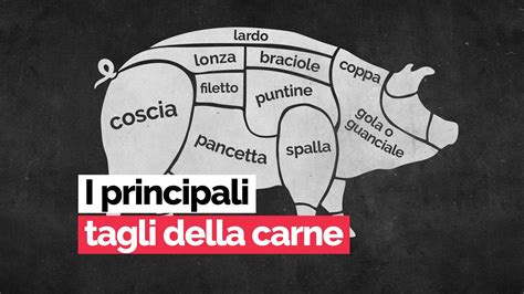 Schema che illustra le diverse parti del maiale utilizzate nella produzione del salame rosa (spalla, trippino, guanciale)