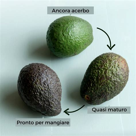 Intestazione con un avocado maturo tagliato a metà, mostrando la polpa verde e il nocciolo centrale.