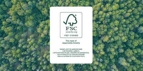 Infografica che illustra il processo di certificazione FSC e i suoi benefici ambientali.