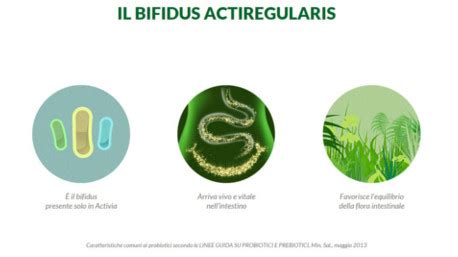Infografica che mostra la migrazione del Bifidus Actiregularis attraverso il tratto digestivo e la sua azione nell'intestino.