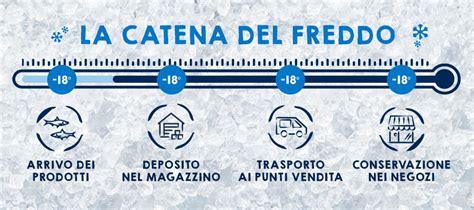 Infografica che illustra le fasi della catena del freddo per gli alimenti surgelati, dalla produzione al consumatore.