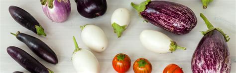 diverse varietà di melanzane