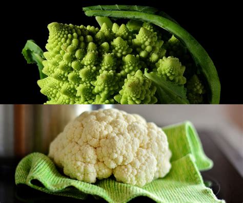 Infografica comparativa tra broccolo romanesco e cavolfiore, evidenziando forma e colore.