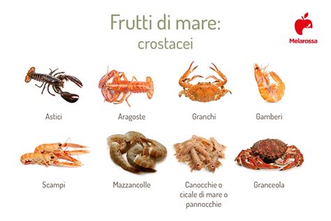 Un piatto fumante di Cioppino con vari tipi di pesce e crostacei