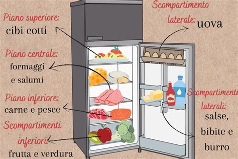 Illustrazione di una vetrina frigo moderna con diversi alimenti esposti.