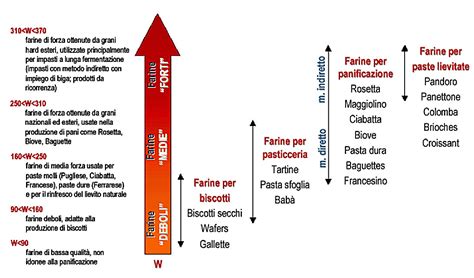 Grafico che illustra la correlazione tra l'indice W della farina e la sua forza