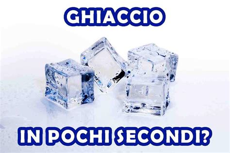 Calamaio fresco disposto su un letto di ghiaccio, pronto per essere cucinato.