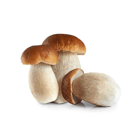 primo piano di funghi porcini freschi puliti e tagliati a fette