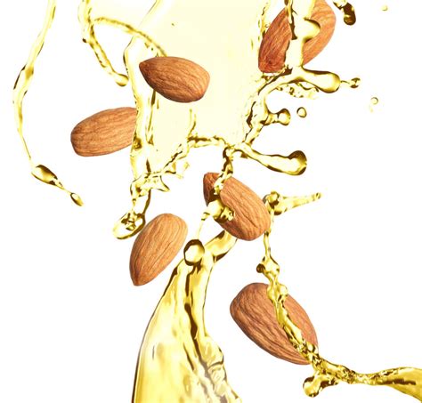 Schema che illustra i benefici dell'olio di mandorle dolci sulla pelle: idratazione, nutrimento, elasticità