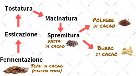 Schema del processo di lavorazione del cacao crudo rispetto al cacao tradizionale