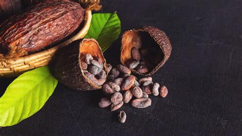 Infografica sui principali benefici del cacao crudo
