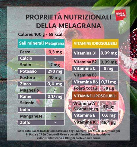 Schema nutrizionale del melograno