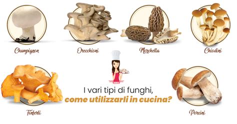 Infografica con i tipi di funghi utilizzati nei ravioli