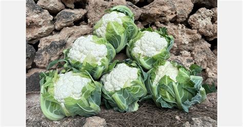 Diverse varietà di cavolfiore (bianco, viola, arancione, verde) in primo piano, pronte per essere cucinate.