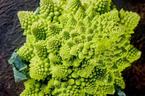 Infografica che mostra le diverse varietà di cavolfiore (giallo, arancione, viola, verde) con indicazione della loro consistenza e tempi di cottura.