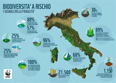 Infografica che illustra la diversità delle verdure africane e il loro potenziale nutritivo