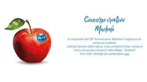 Grafica che illustra le categorie e i premi del concorso Marlene®