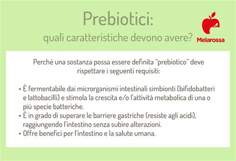 Infografica che illustra i benefici digestivi dei prebiotici e delle fibre per cani