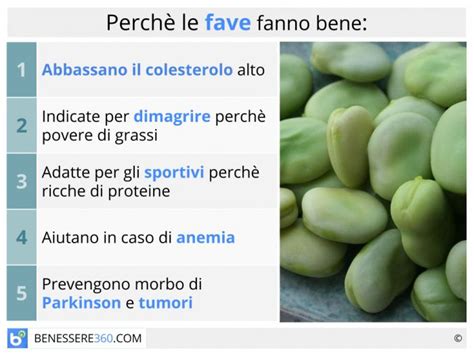 Illustrazione che mostra le principali controindicazioni legate al consumo di fave.