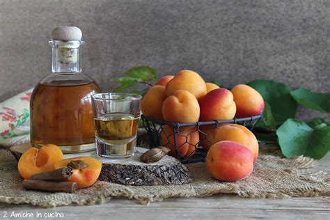 schema riassuntivo dei passaggi per la preparazione del liquore di noccioli di nespole