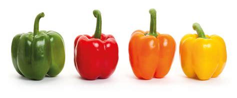 Diverse varietà di peperoni: rossi, gialli e verdi, con diverse forme e dimensioni.