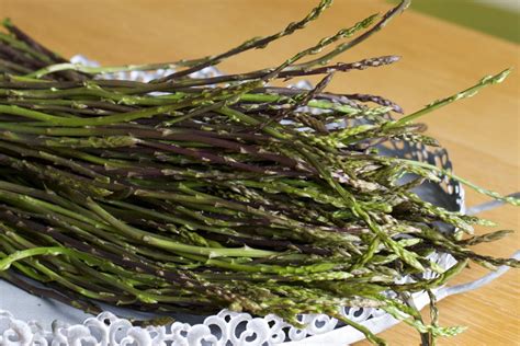 Immagine di asparagi selvatici freschi