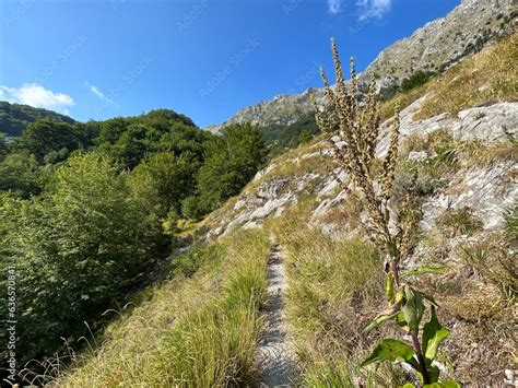 Paesaggio siciliano con vegetazione rigogliosa e sentieri
