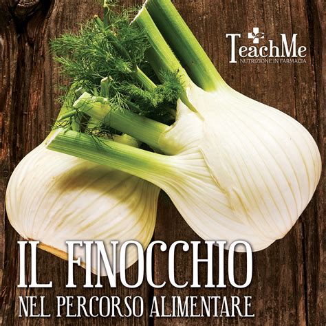 Schema che evidenzia i principali nutrienti presenti nel finocchio (vitamine, minerali, fibre, anetolo).